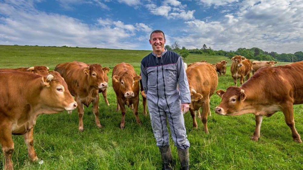 La conduite du troupeau allaitant, limité à 30 mères de race limousine et leur suite, répond parfaitement au cahier des charges  « Valeurs parc naturel régional ». © D. Protin/PNRL